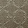 Fibreworks Carpet: Zodiac Silvered Gray
